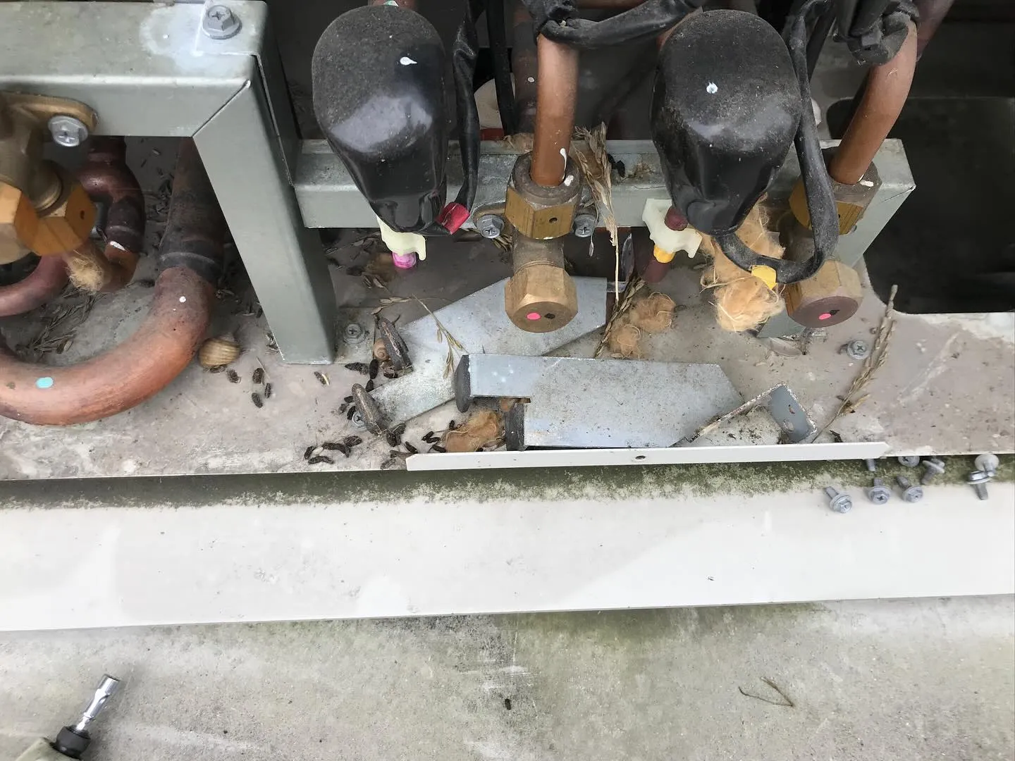 お世話になります。