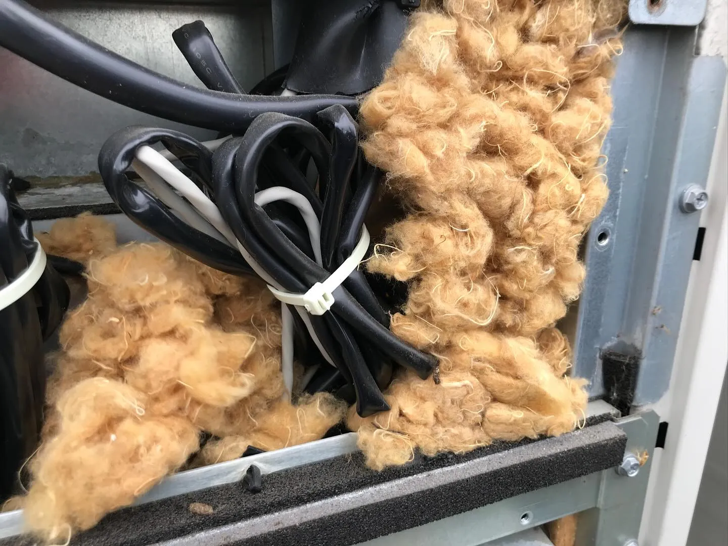 お世話になります。