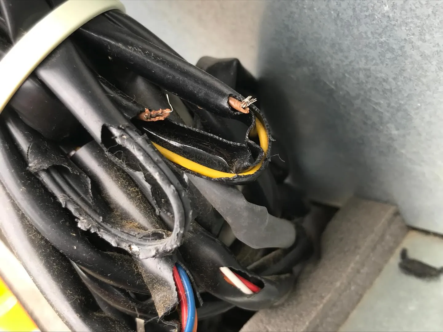 お世話になります。