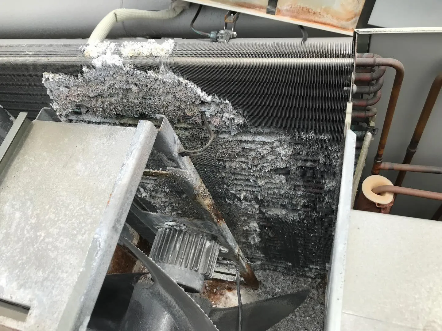 冷凍機漏電修理