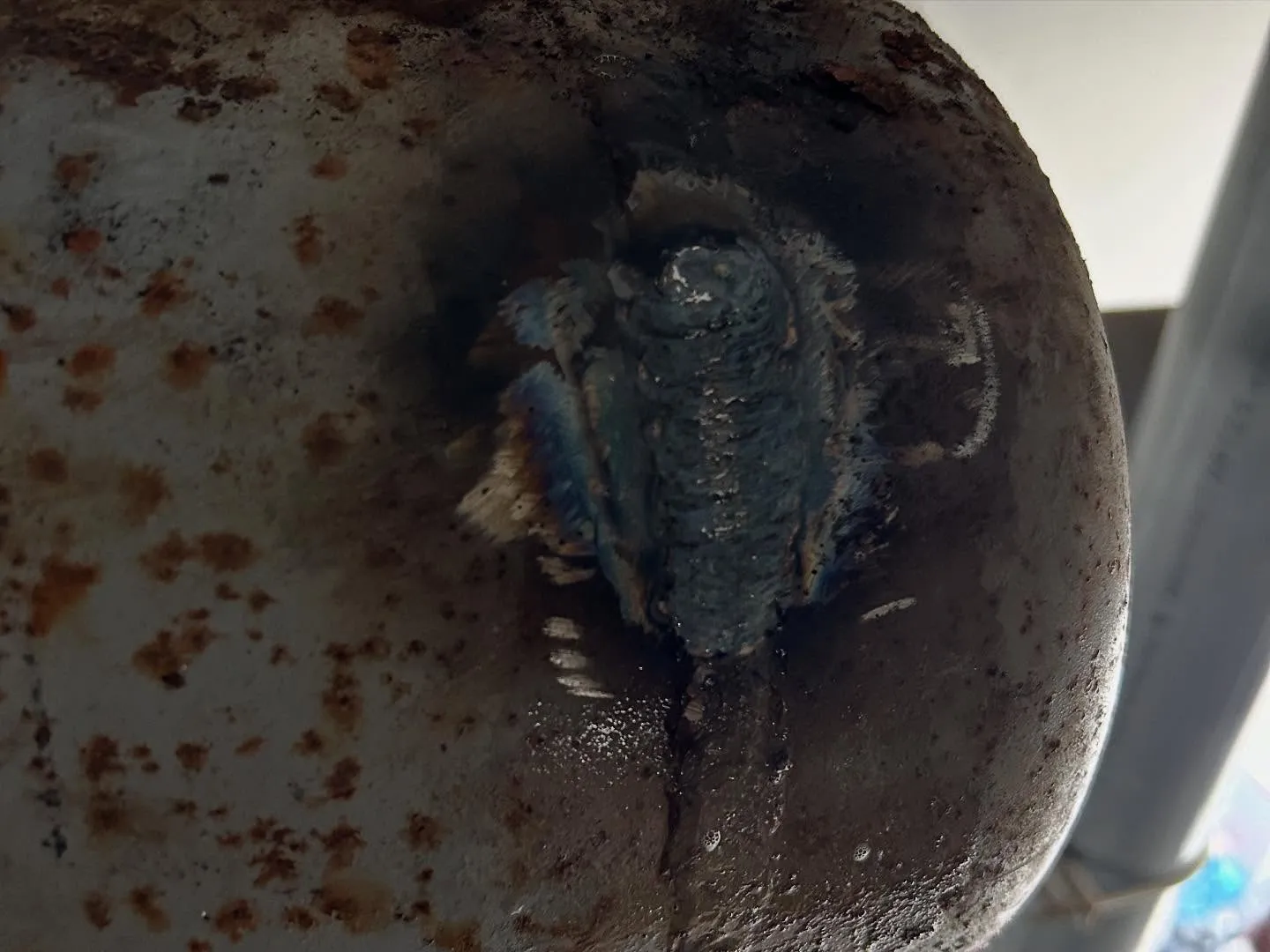 2段圧縮式スクリュー冷凍機大規模修繕