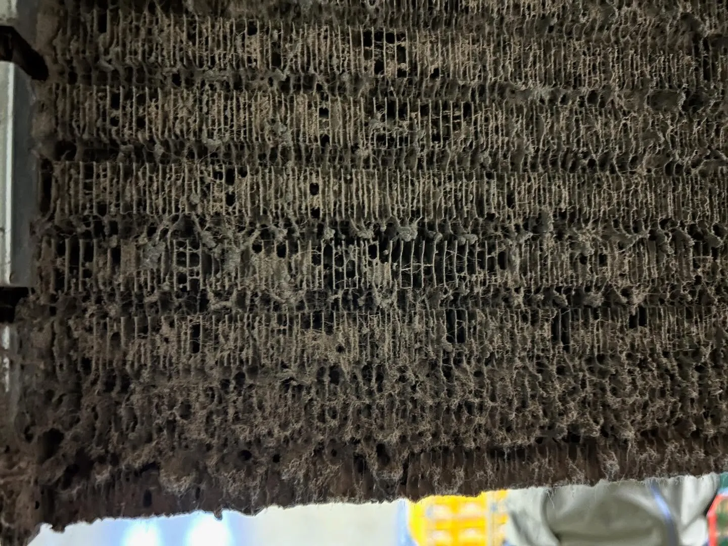 冷却器洗浄作業